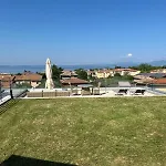 Solea