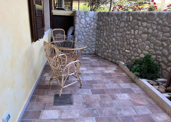 Solea バルドリーノ